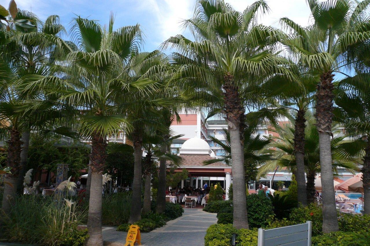Insula Resort & Spa Alanya Luaran gambar